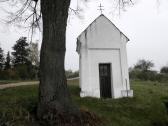  kleine Kapelle bei Wanzenau 