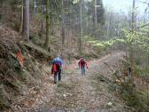  Wanderroute auf schnen Waldwegen 