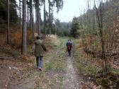  Wanderroute auf schnen Waldwegen 