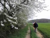  Wanderroute durch das Wolfshoferamt 