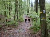 Wanderroute durch den Schildbachgraben auf dem Welterbesteig Wachau  