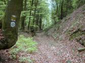 Wanderroute durch den Schildbachgraben auf dem Welterbesteig  Wachau 