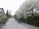  Wanderer auf dem Lindbergweg 