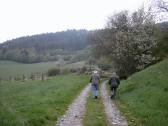  Wanderweg leicht bergan 