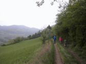  Wanderweg leicht bergan 