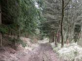  Wanderroute bergab durch den Weinbergwald