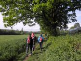  Wanderweg bei Gaaden 