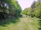  Wanderroute bei der B11 