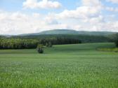  schner Fernblick zum "Hoher Lindkogel" 