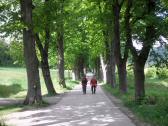  Wanderroute durch die herrliche Allee in Heiligenkreuz 