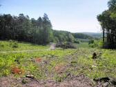  Wanderweg nach Siegenfeld 