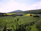  Fernblick zum Badner Lindkogel 