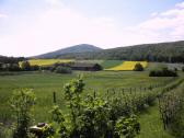  Fernblick zum Badner Lindkogel 