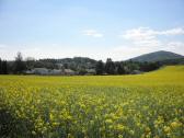  Fernblick nach Siegenfeld 