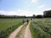  Wanderweg ber die Ebene bei Siegenfeld 