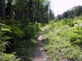  Wanderweg auf dem Mitterberg 