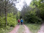  Wanderweg auf dem Mitterberg 