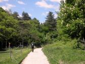  Wanderweg am Ortsende von Einde 