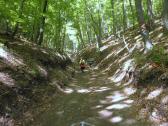  Wanderweg bergan durch das groe Kiental 