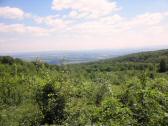  schner Fernblick in das Wr. Neustdter Becken 