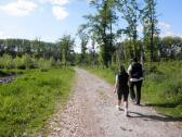  Wanderweg durch die Aulandschaft 