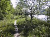  Wanderweg entlang der Donau auf dem Schutzdamm 