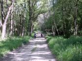  Wanderweg durch die Aulandschaft 