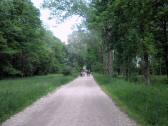  Wanderroute zurck wieder auf dem gleichen Wegstck 