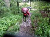  tiefer Boden durch den Wald des Kollersberg 