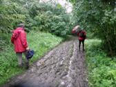  tiefer Boden durch den Wald des Kollersberg 