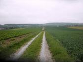  Blick auf die Wanderstrecke 