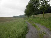  leicht bergan in den Haspelwald 