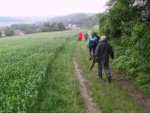  Wanderroute bei Murstetten 