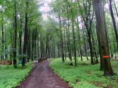  Wanderroute durch den Haspelwald 