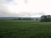  Fernblick nach Maria Dreieichen 