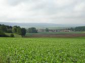  Fernblick nach Mold 