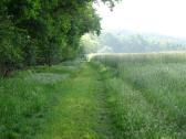  Wanderweg nach Maria Dreieichen 