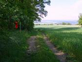  Blick auf die Wanderstrecke 