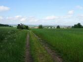 Blick auf den ausgemhten Wanderweg Richtung Mold 