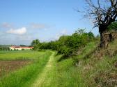  Blick auf die ebene Wanderstrecke Nhe Mold 