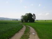  Blick auf die ebene Wanderstrecke Nhe Mold 