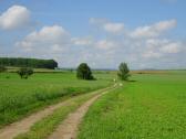  Blick auf die ebene Wanderstrecke Nhe Mold 