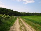  Blick auf dei Wanderstrecke 