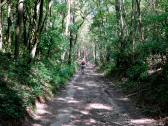  Wanderweg auf dem Geiberg 