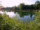  herrlicher Fischteich an der Erlauf 