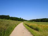  Blick auf die Wanderroute nach Krottenthal 