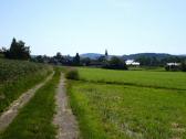  Wanderweg nach Petzenkirchen 