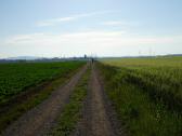  Wanderroute in der Ebene des Tullner Becken 