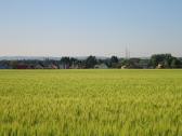  Fernblick nach Oberzgersdorf 