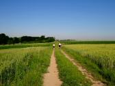  Wanderroute auf der Hochebene 